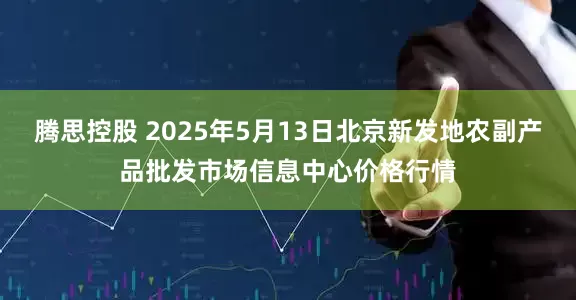 腾思控股 2025年5月13日北京新发地农副产品批发市场信息中心价格行情